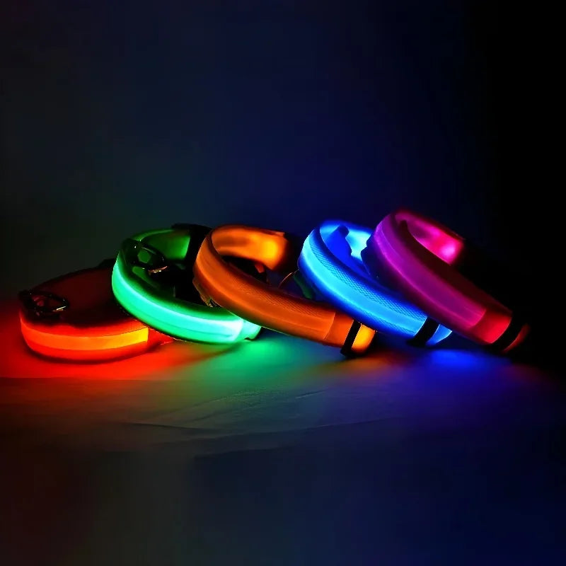 LED Nylon Dog Collar – Glow in the Dark Night Safety Leash for Pets | USB Rechargeable & Waterproof