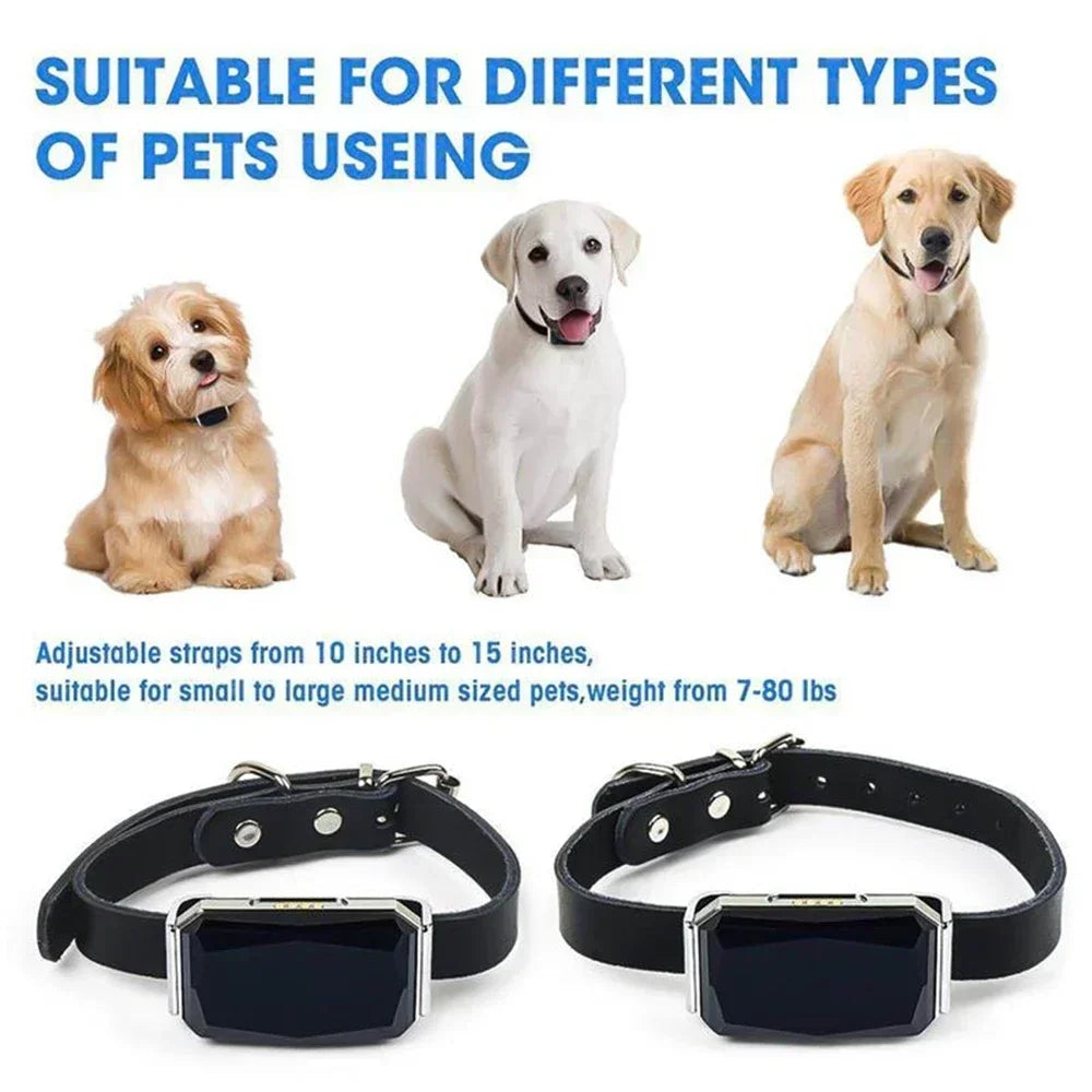 G12 Mini GPS Pet Tracker Collar – Waterproof, Anti-Lost, Real-Time Locator for Dogs & Cats