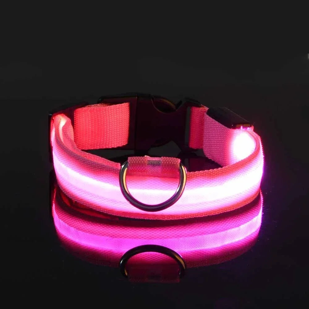 LED Nylon Dog Collar – Glow in the Dark Night Safety Leash for Pets | USB Rechargeable & Waterproof