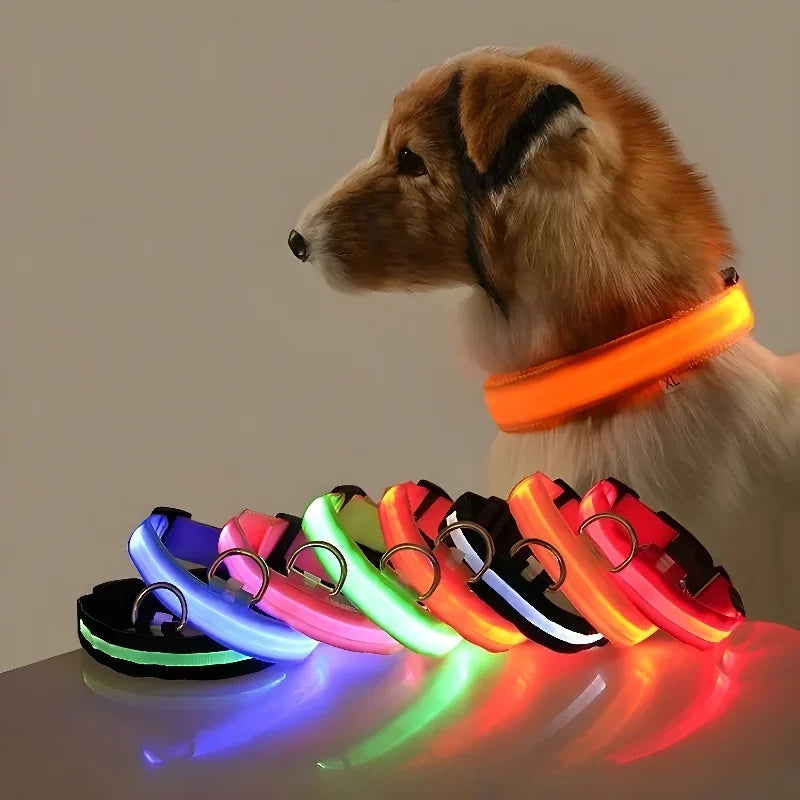 LED Nylon Dog Collar – Glow in the Dark Night Safety Leash for Pets | USB Rechargeable & Waterproof