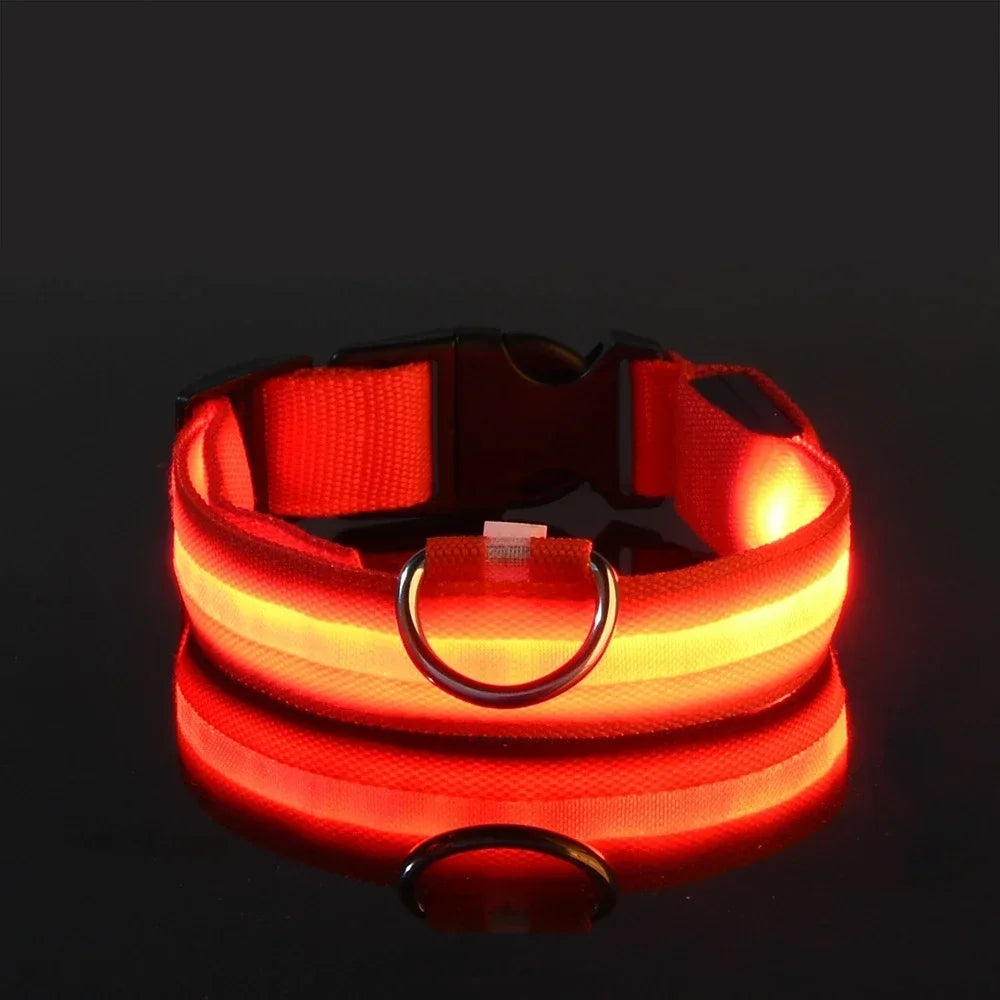 LED Nylon Dog Collar – Glow in the Dark Night Safety Leash for Pets | USB Rechargeable & Waterproof